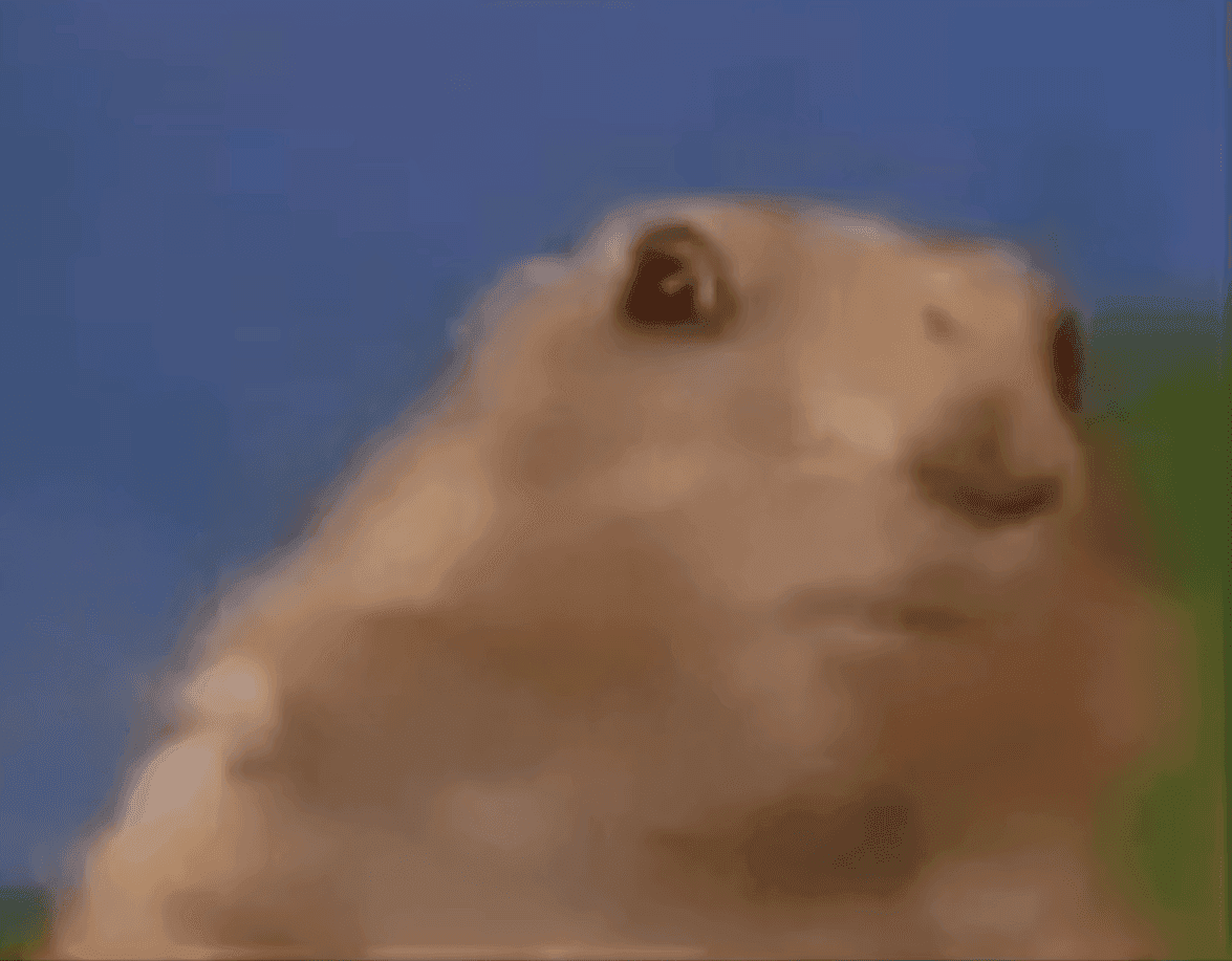 Squirrel meme  TAN TAN TAAAAN